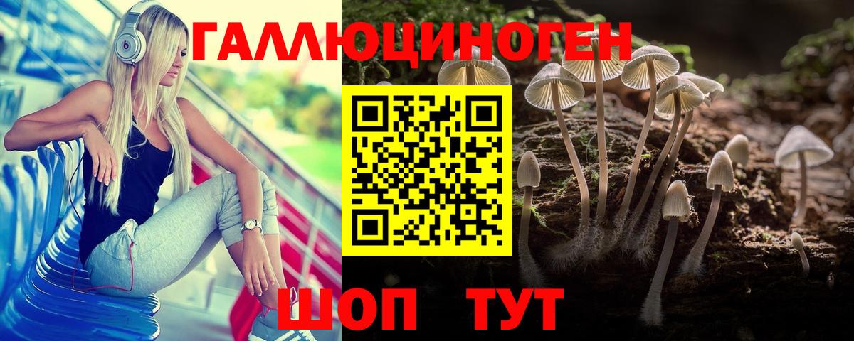 Псилоцибиновые грибы мухоморы  Вход с VPN  Александров  Псилоцибиновые грибы Magic Shrooms 