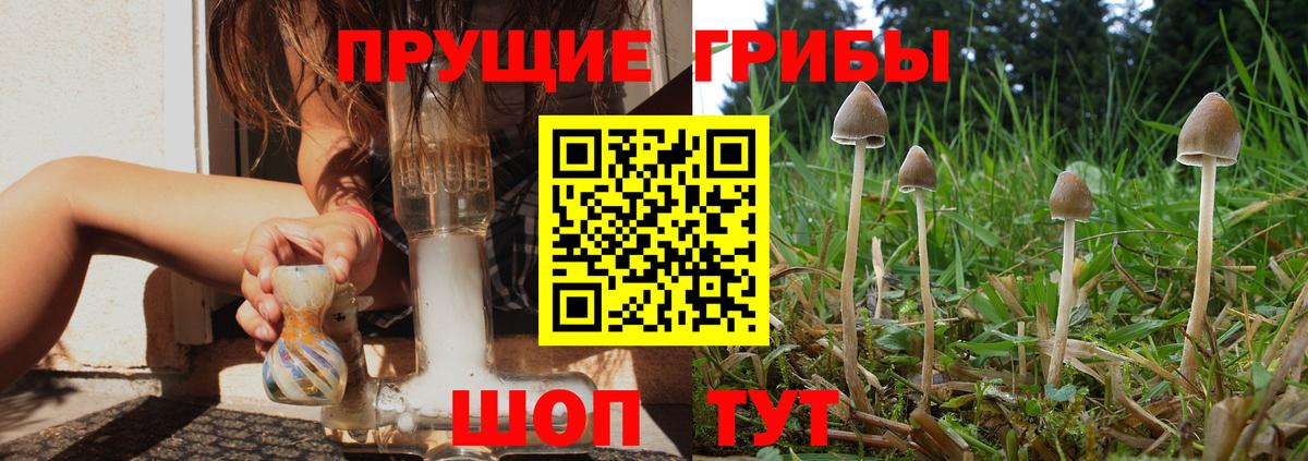 Псилоцибиновые грибы MAGIC MUSHROOMS  Александров 