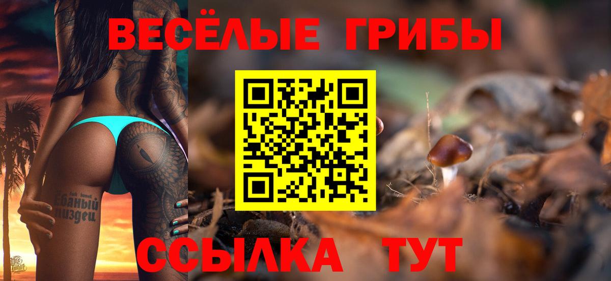 Галлюциногенные грибы мицелий Александров